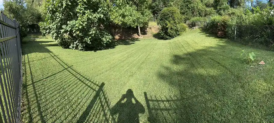 Landscape Contractor in Gainesville, GA